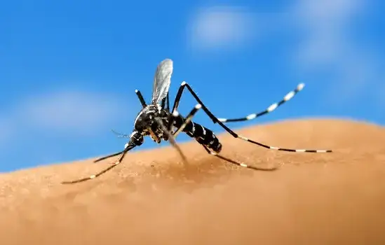 Mosquito exterminator treating a West Jordan, UT home