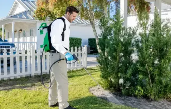Residential Pest Control in West Jordan, UT