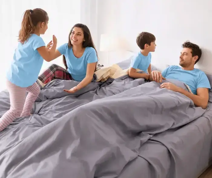 Bed Bug Control in a West Jordan, UT home
